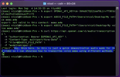 Terminal app transcribing voice memos into text